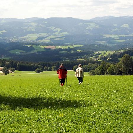 Wildwiesenhof Miesenbach  Exterior foto
