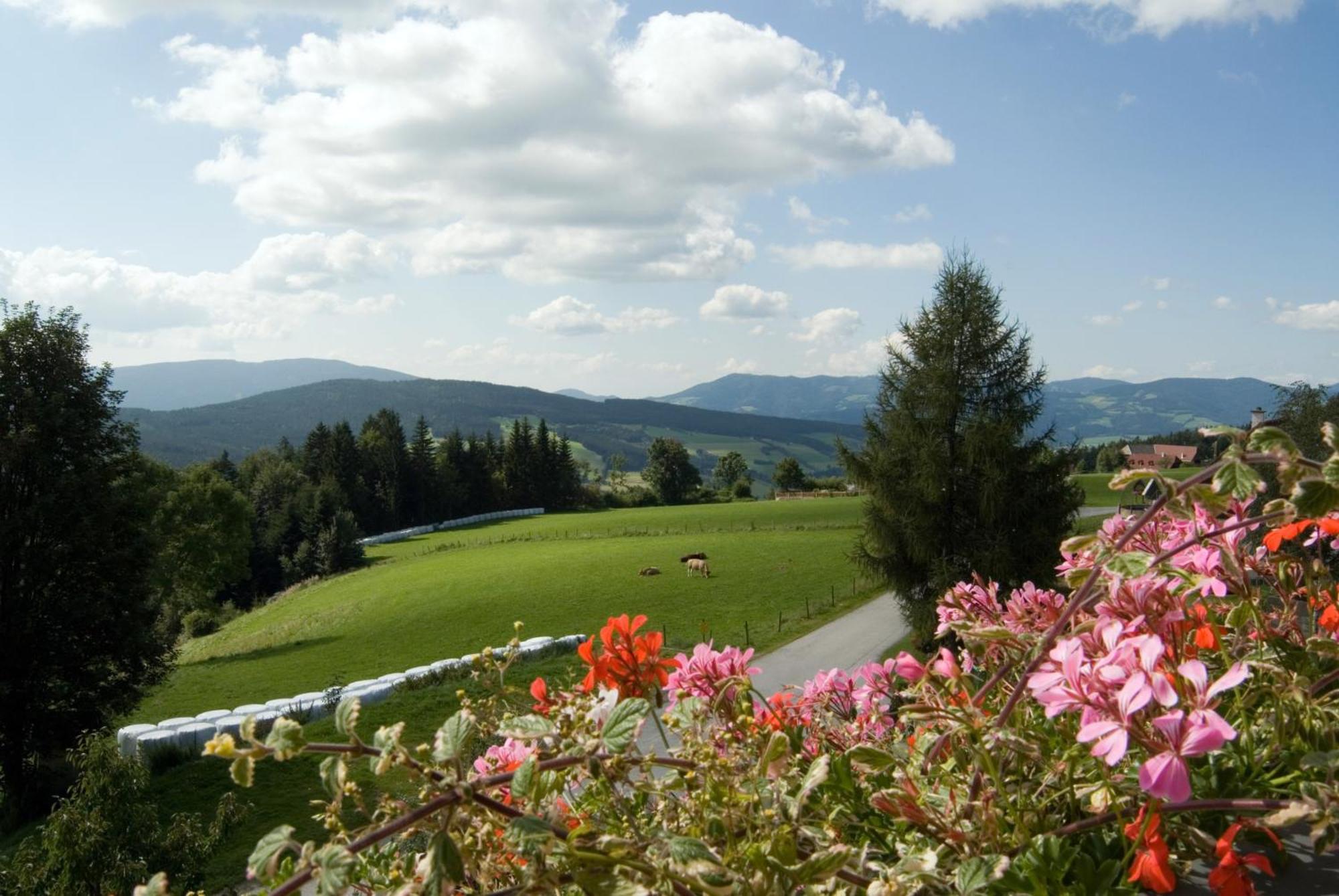 Wildwiesenhof Miesenbach  Exterior foto