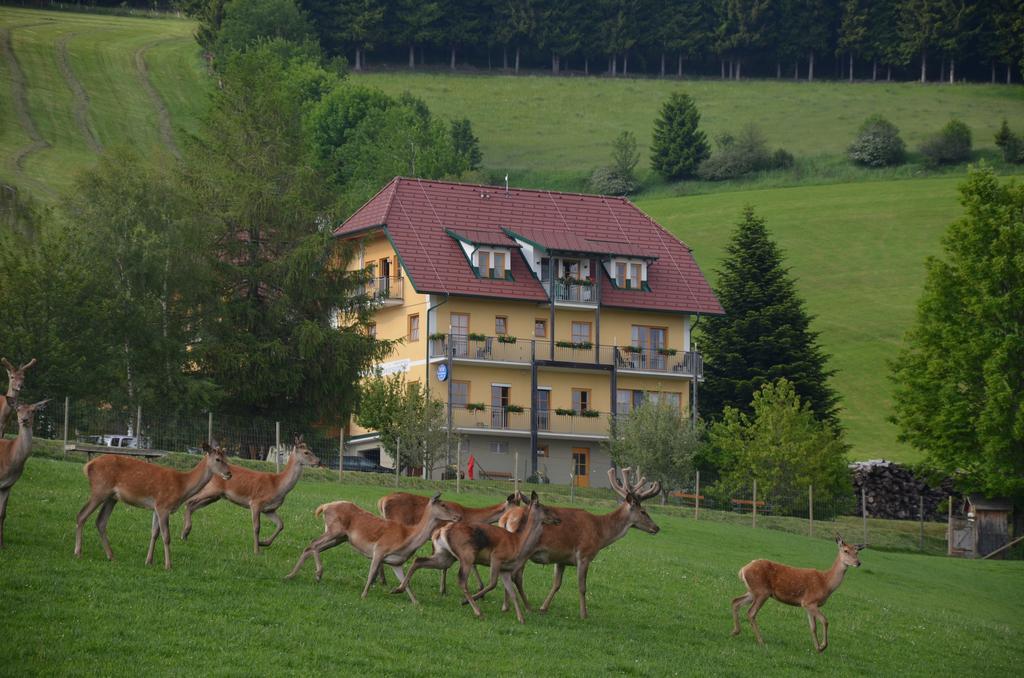 Wildwiesenhof Miesenbach  Exterior foto