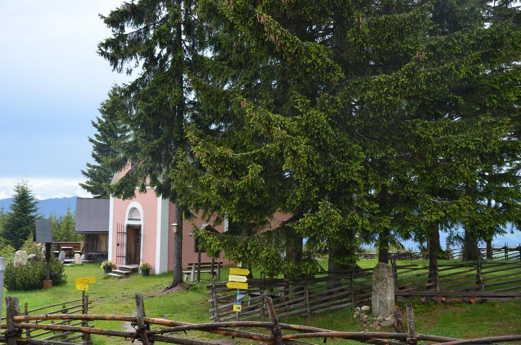Wildwiesenhof Miesenbach  Exterior foto